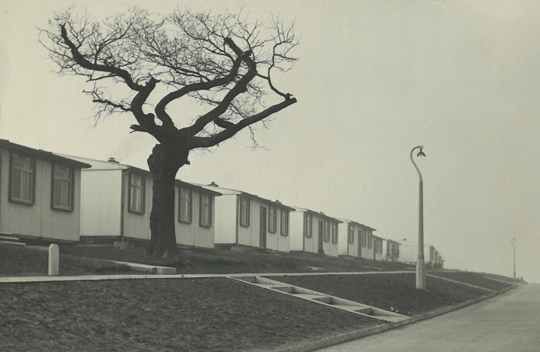 Photographic image of a street of post war prefab housing taken in 1950