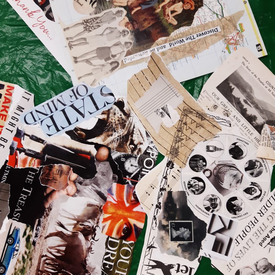 Collages created as part of the project so far