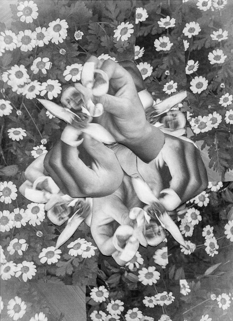 Image by Sally Barton with The Albany, Deptfrod.