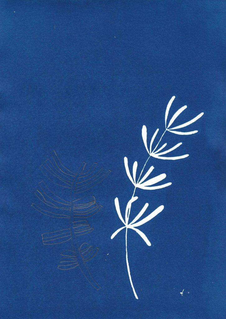 Image by Audrey Albert with Bredbury Library, Stockport.