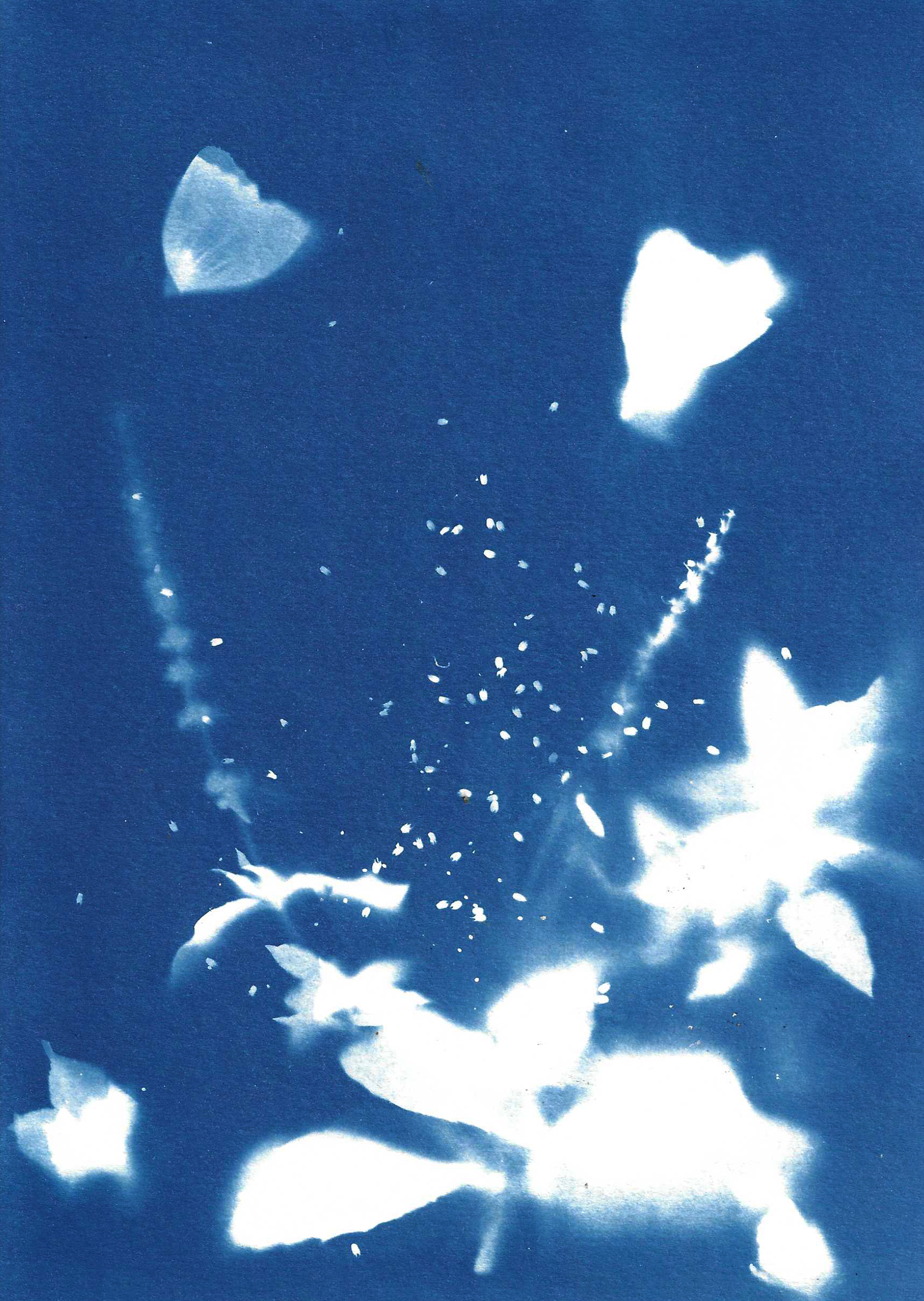 Image by Audrey Albert with Bredbury Library, Stockport.